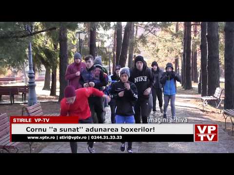 Cornu ”a sunat” adunarea boxerilor!