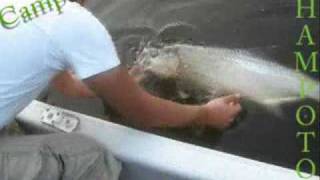 preview picture of video 'Pesca de Sabalo y Robalo en Champoton Campeche Mexico Tarpon and Snook fishing'