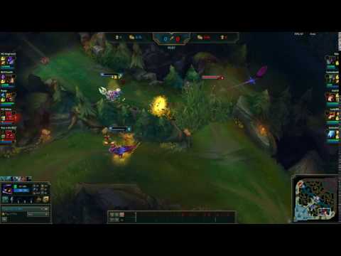 Maokai Support Level 1