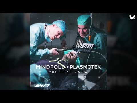 Plasmotek & Mindfold - You don't know