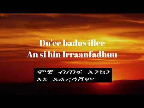 New Ethiopian Music Hachalu Hundessa - OOLMAAN KEE - Lyrics with Amharic Meaning |በአማርኛ ትርጉም