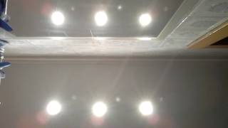 Lo pide el alma bustamante