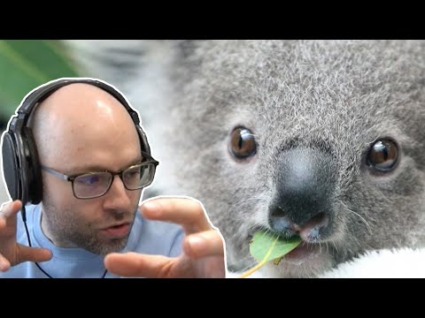Northernlion - The Koala Killer