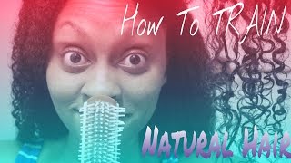 How To TRAIN Your Natural Hair (Denman-ish Brush)