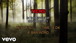 Brad Paisley - Ticks (Karaoke)