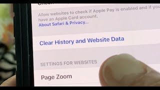 How to clear your Safari History and Website data on iPhone 12 iOS 14.5