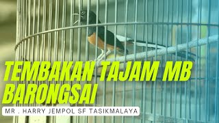 Download lagu TAJAM ‼️ MELIHAT LEBIH DEKAT MATERI TEMBAKAN MB BARONGSAI - MR HARRY JEMPOL SF TASIKMALAYA mp3