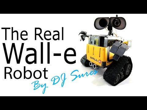 DJ's The Real Wall-E