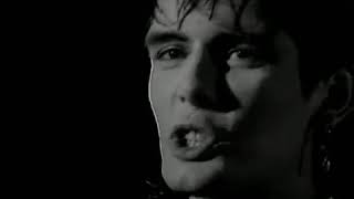 &quot;Impressed&quot;, a music video by Charlie Sexton. Words by Tonio K.