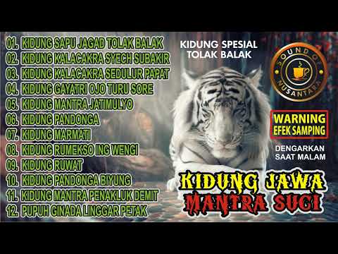 KIDUNG JAWA | MANTRA SUCI | TEMBANG JAWA PALING SAKRAL | KIDUNG TOLAK BALAK