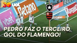 FLAMENGO MARCA MAIS UM CONTRA O BOTAFOGO! PEDRO FAZ O TERCEIRO DO MENGÃO! VEJA O GOL