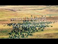 LARGE STAMPEDE SOUNDS