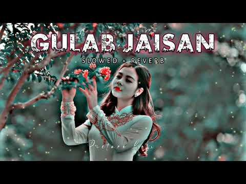 Gulab Jaisan Khilal Badu Neelkamal Singh | Bhojpuri Lofi Song | Slowed and Reverb Songs | 