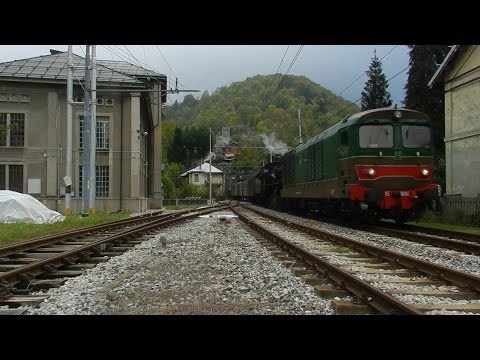[Cuneo - Ventimiglia] Treno Storico Tende - Limone Piemonte In Arrivo a Limone