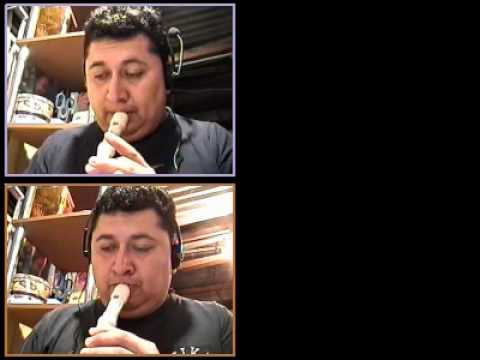 Notas para flauta (ES): febrero 2011