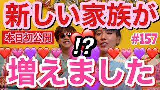 新しい家族が増えました❤️(サムネ詐欺じゃないよガチだよ)こないだ匂わせたハム太郎(新入り)をご紹介するけど初っ端から破壊しまくっててまじやべぇやつきた?