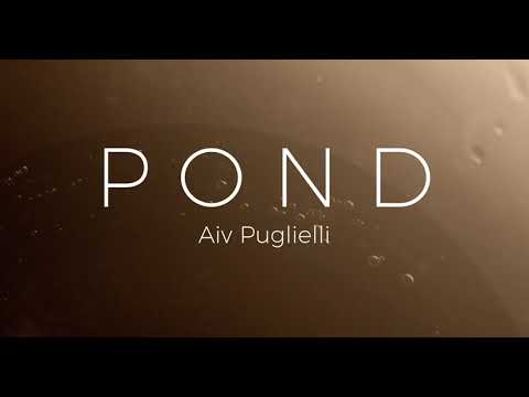 POND teaser