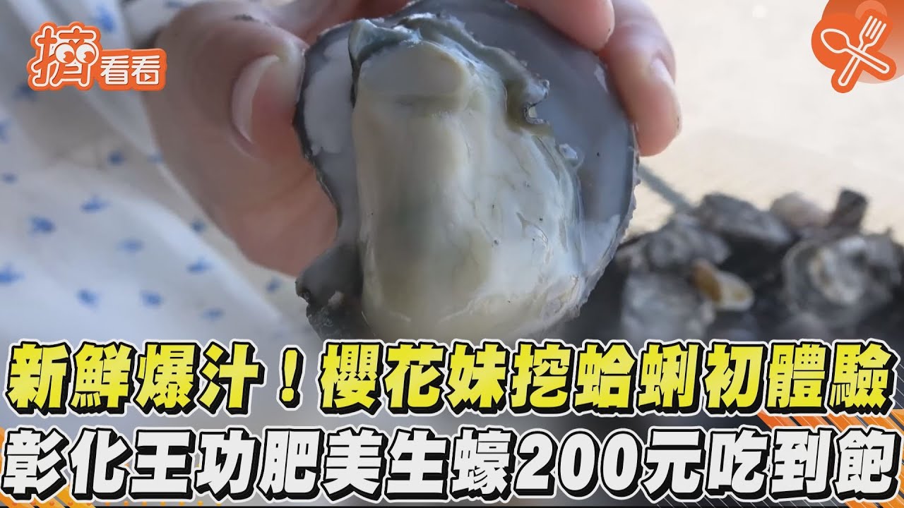 影音/新鮮爆汁!櫻花妹挖蛤蜊初體驗 彰化王功肥美生蠔200元吃到飽