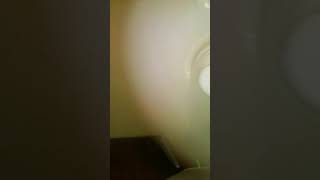 hey. I found my number one FAN. I&#39;m sorry.3.