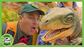 REAL Raptors at Jurassic World?! Dinosaur Adventure | T-Rex Ranch Dinosaur Videos for Kids