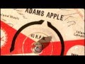 Tommy McCook - Adams Apple (1963) Island WI 102 A
