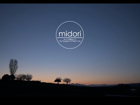 動画サムネイル