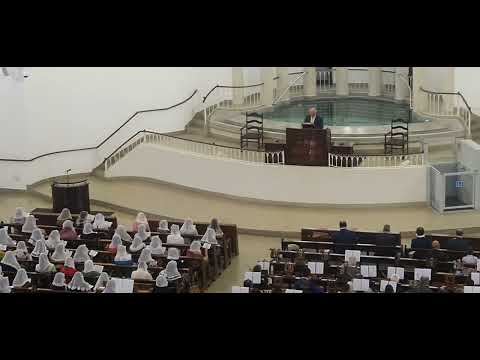 HINO CCB 460 VAMOS TODOS JUNTOS CANTAR HINÁRIO 5 CANTADO COM ORQUESTRA