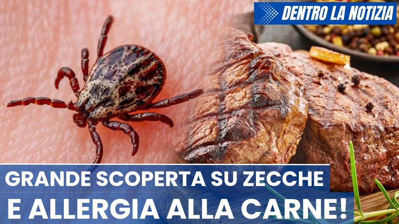 STUDIO su sindrome alfa-gal fa una scoperta incredibile su zecche e allergia alla carne! Guarito 96%