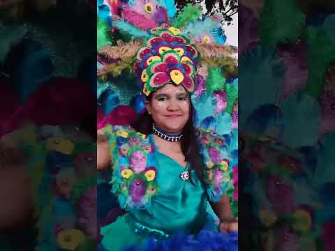 En el municipio Diaz del estado Nueva Esparta ha todo está listo para celebrar los Carnavales 2024.