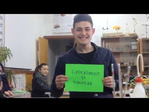 "Fii elev in scoala mea! " Liceul teoretic Bogdan - Voda Halaucesti