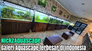 #322 Jalan jalan ke toko Aquascape terbesar di indonesia!!!