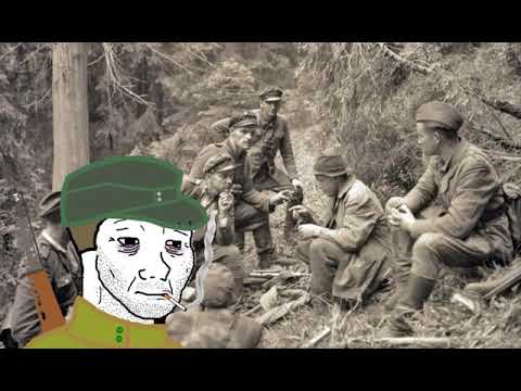 Ukrainian Partisan DOOMER Music Vol.2