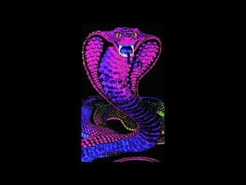 KING COBRA (Self produced)