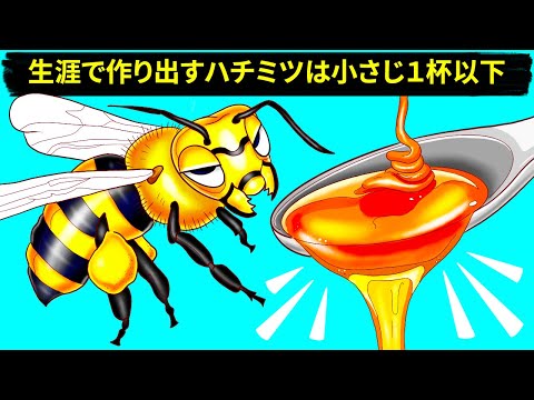 , title : 'ミツバチがハチミツを作る理由と方法（＋その他のハチにまつわる豆知識）'
