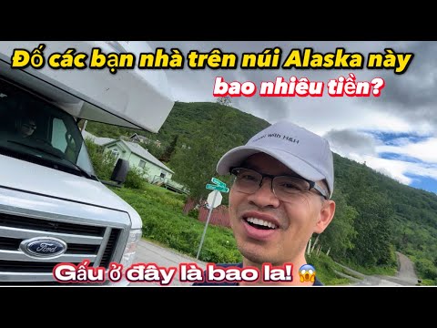 [P36] TÉ NGỬA Với Giá Nhà Trên Núi Alaska Toàn Gấu & Thú Hoang Dã!