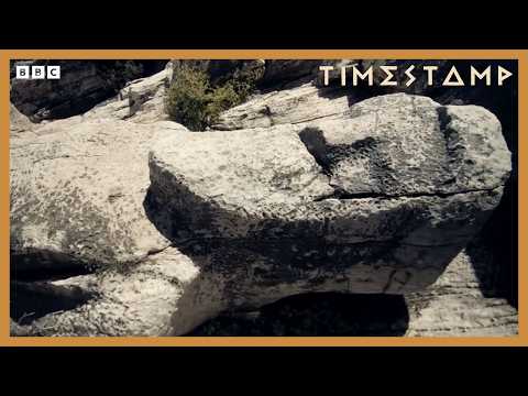 Half Man, Half Statue? | Bbc Timestamp