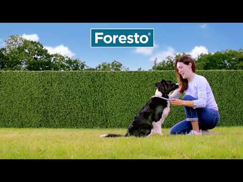 Foresto 4.50g+2.03g obojek psy nad 8kg 70cm - sleva 14 % | BENU.cz