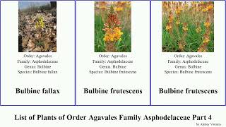 List of Plants of Order Agavales Family Asphodelac