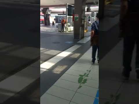 frecciarossa 1000 napoli centrale udine