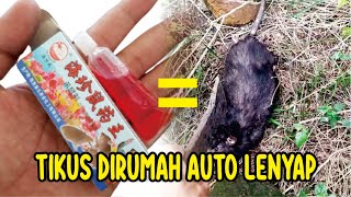 Download lagu RACUN TIKUS AMPUH MATI DITEMPAT TERBAIK PALING MEMATIKAN | MAO WANG CAIR MURAH mp3 Download lagu RACUN TIKUS AMPUH MATI DITEMPAT TERBAIK PALING MEMATIKAN | MAO WANG CAIR MURAH mp3