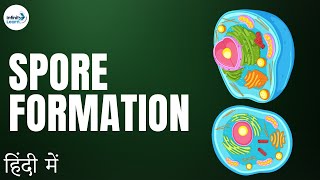 Reproduction - Lesson 16 | Asexual Reproduction (Spore Formation) - in Hindi (हिंदी में )