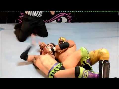 Eli Everfly vs Zokre