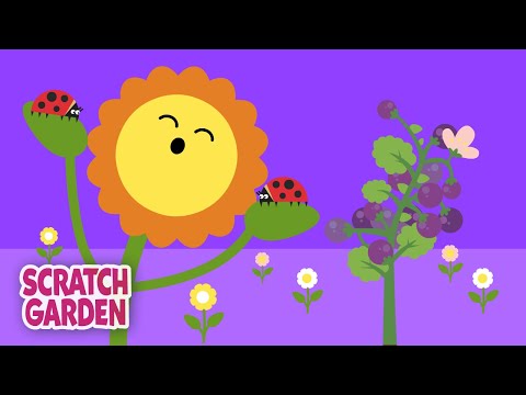 How Do Things Grow? | Science Songs | Science Videos