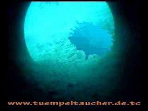 Hemmoor E1, E3, Zander