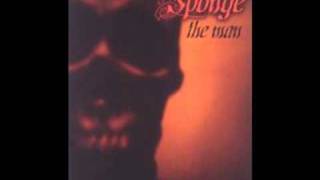 Sponge - The Man