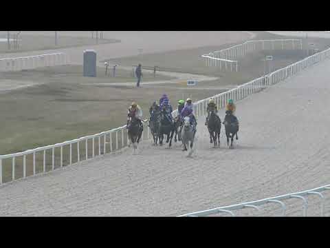 2021.11.14. 09. futam - NYELVTÖRŐ HENDIKEP (V.o.) (szintetikus pálya)