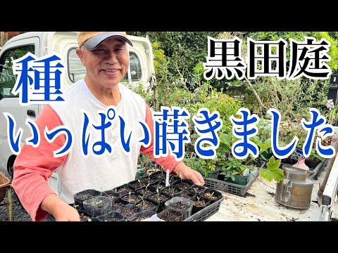クロトン属の種のリスト - 定義