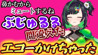 【ドジっ子】ミュートにしたつもりがエコーをかけて盛大に鼻をかんでしまう正義なぐる【深層組/切り抜き/正義なぐる】