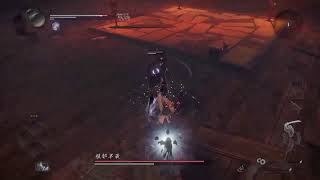 仁王2ﾄﾛｺﾝを目指すてきとー配信
