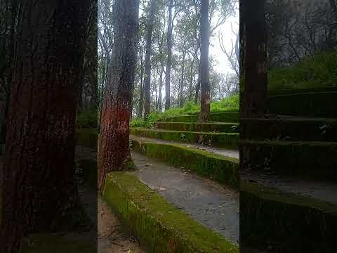 taal se taal #sukhwinder singh #viral #ytshorts #shorts